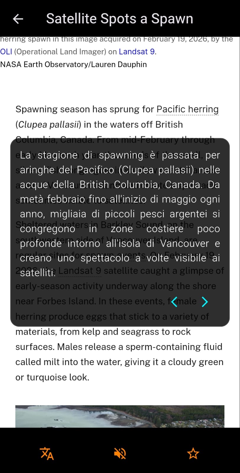 Schermata articolo con traduzione